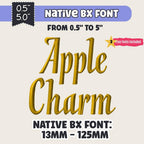 Native BX Font, Coastal Hug Embroidery Font, BX Object 13-125mm,