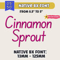 Native BX Font, Coastal Hug Embroidery Alphabet BX, 13-125mm Plus