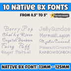 BX Embroidery Font, 10 Native BX Set, Embrilliance Floral Alphabets