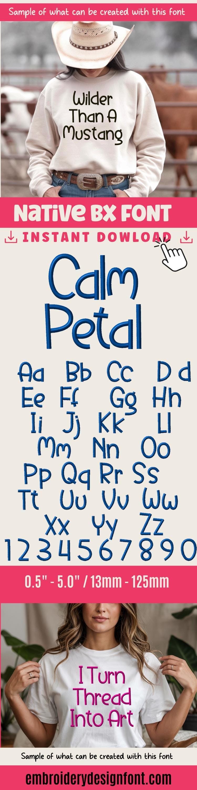 BX Embroidery Font' Coastal Hug Script, Instant Download PES DST.