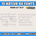 BX Embroidery Font, 10 Native BX Set - Vintage Floral Alphabet HD