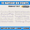 BX Embroidery Font, 10-Piece BX Native Set, Embrilliance 13-125mm