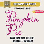 Native BX Embroidery Font, Coastal Hug BX Alphabet 13mm–125mm Size