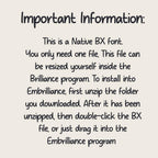 native bx embroidery font Coastal Hug BX Script 13-125mm Editable