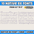 bx embroidery fonts' Embrilliance BX 10-Font Set, Vintage FloralXL