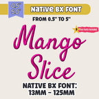Native Bx Embroidery Font, Coastal Hug BX Font Scalable 13-125mm!