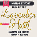 Native Bx Embroidery Font, Coastal Hug BX, 13-125mm Embrilliance v1