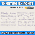 BX Embroidery Font, 10 Native BX Embrilliance Vintage Alphabet Set,