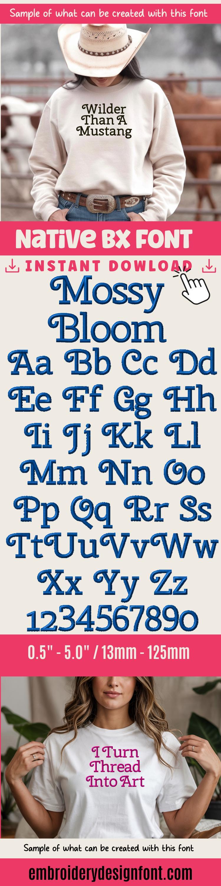 Embrilliance BX file' Coastal Hug BX Font, Native BX, 13-125mm XL