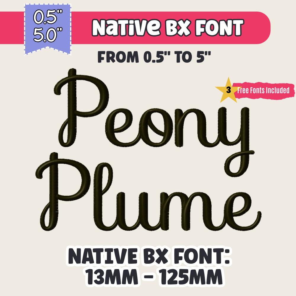 Native BX Embroidery Font, Coastal Hug Monogram, 13mm–125mm Resized