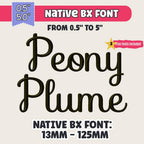 Native BX Embroidery Font, Coastal Hug Monogram, 13mm–125mm Resized