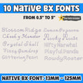 BX Embroidery Font' 10 Native Embrilliance Vintage Floral Alphabets