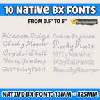 BX Embroidery Font' 10 Native Embrilliance Vintage Floral Alphabets