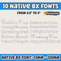 BX Embroidery Font, 10 BX Native Embrilliance Script Vintage Floral
