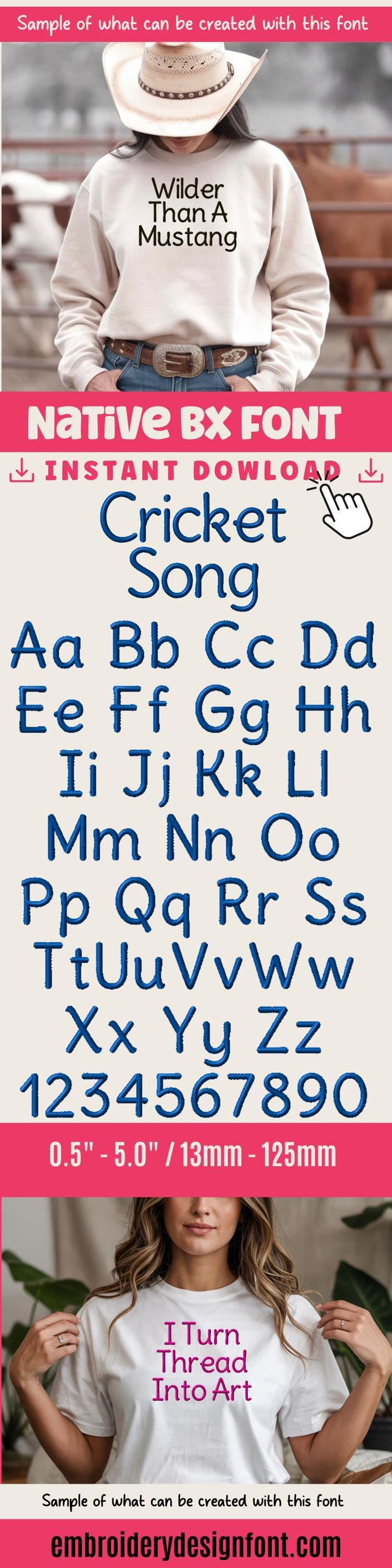 Native BX Embroidery Font Coastal Hug ObjectBased Editable 13-125mm