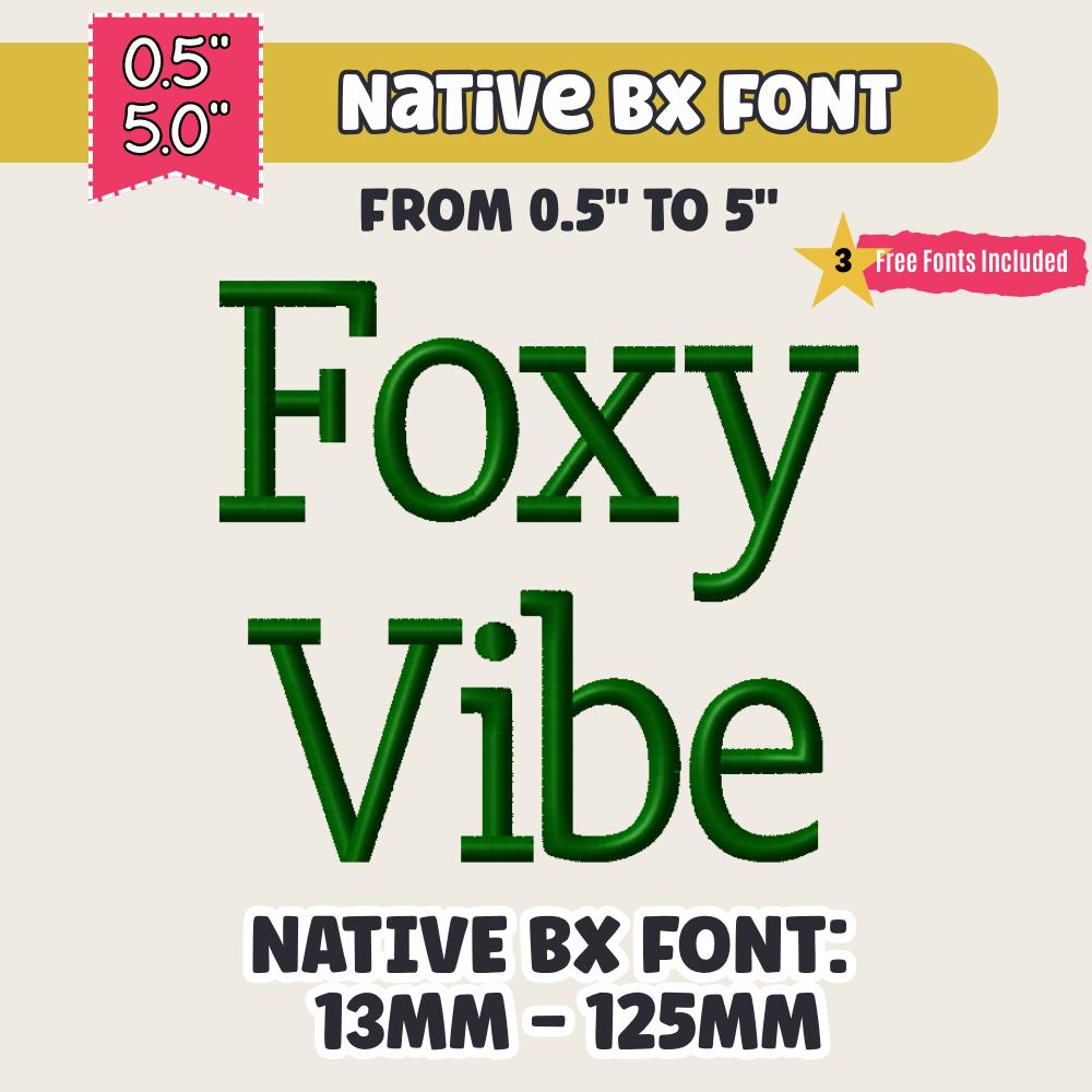 Native BX Embroidery Font, Coastal Hug Script, 13mm-125mm Editable