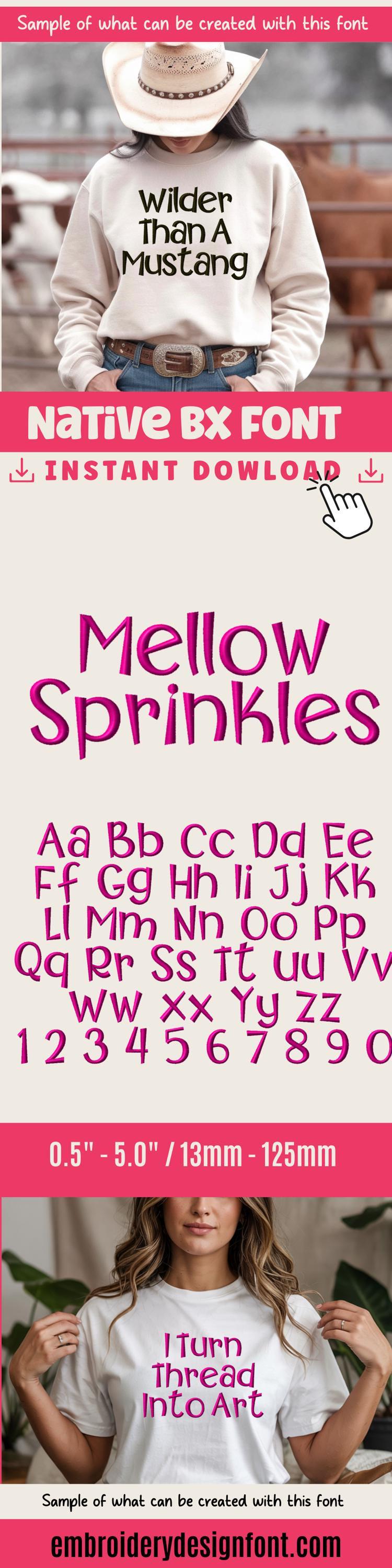 BX Embroidery Font, Coastal Hug Script Alphabet, Native BX Instant