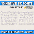 BX Embroidery Fonts', 10 Native BX Embrilliance Vintage Alphabet XL