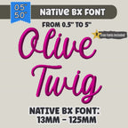 Native BX Embroidery Font Olive Twig, Elegant Vintage Alphabet Set