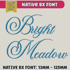 BX Embroidery Font, Skinny Script Bright Meadow, 13-125mm Wedding