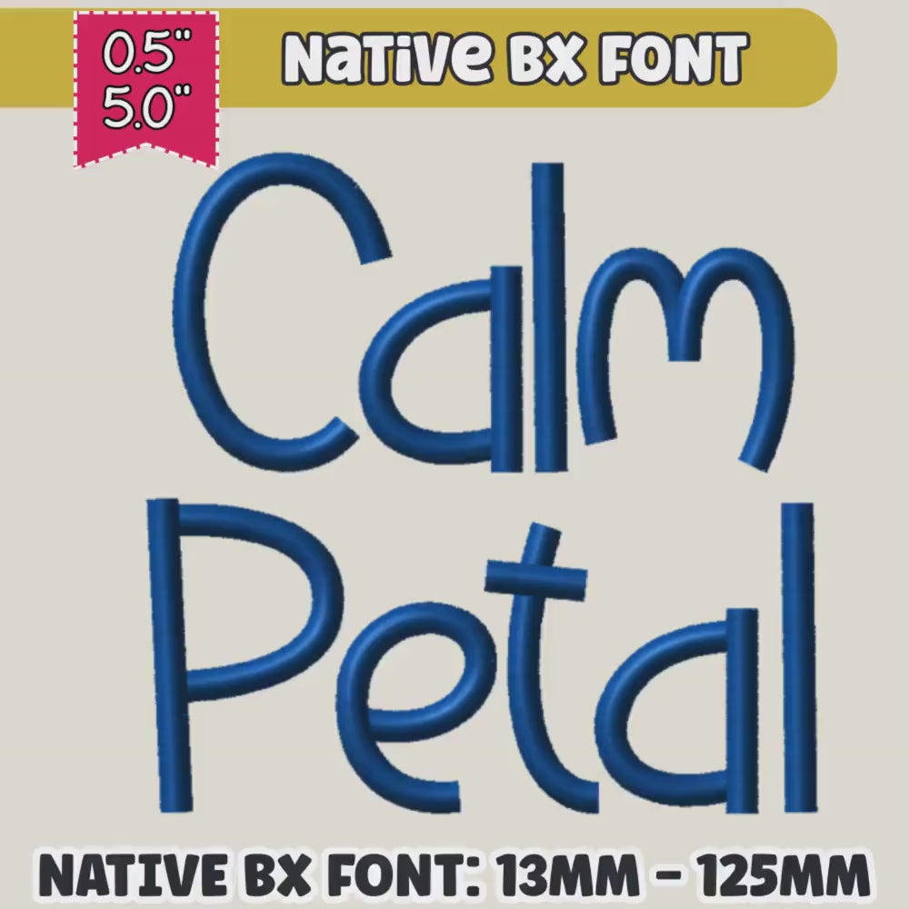 BX Embroidery Font' Coastal Hug Script, Instant Download PES DST.